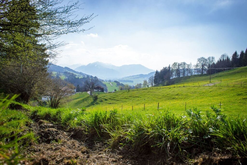 Allgäuer Alpenlandschaft im Sommer