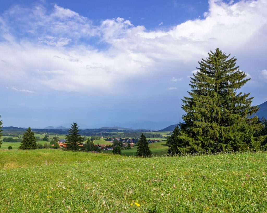 Blick auf Faistenoy von der Elleghöhe